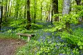 Springtime in Monaghan 2013 (24)